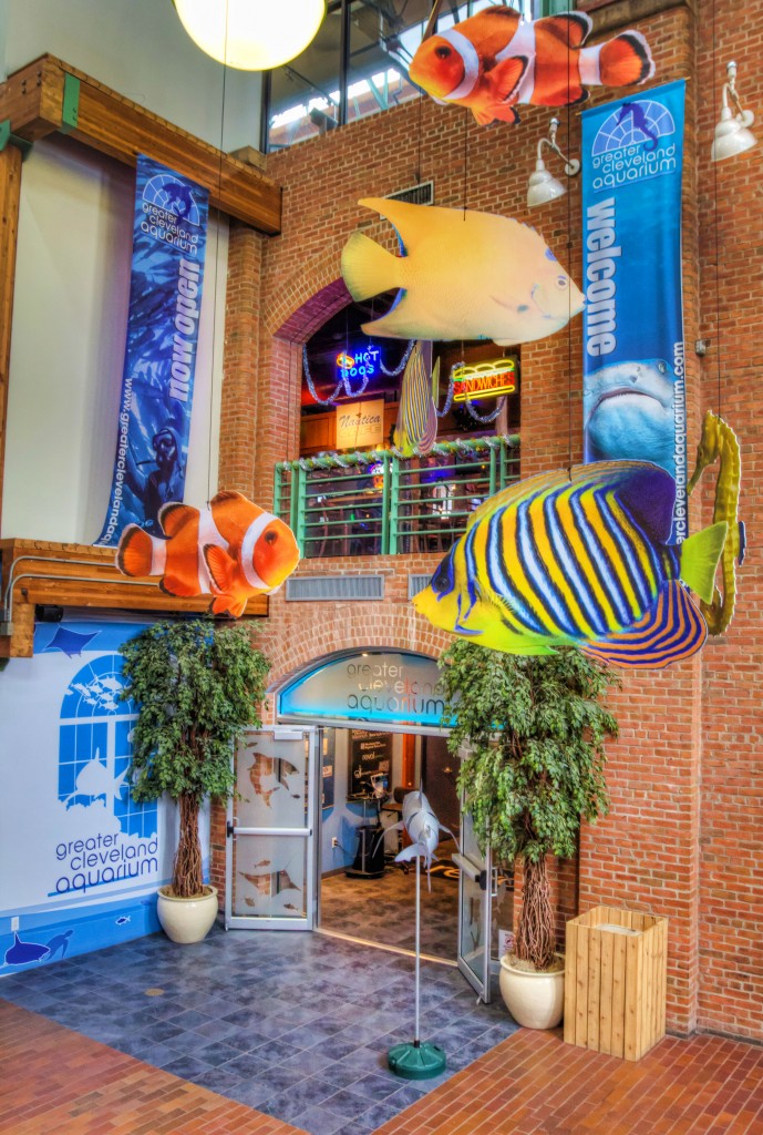 Greater Cleveland Aquarium Cleveland in HDR Cleveland in HDR The